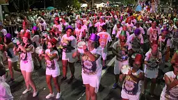 Carnaval de Balne�rio Cambori� ter� shows e desfiles